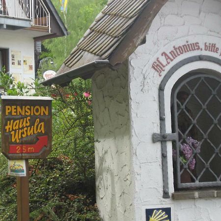 Pension Haus Ursula Κόμπλεντς Εξωτερικό φωτογραφία