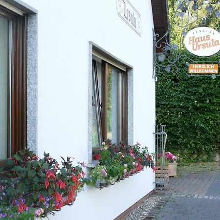 Pension Haus Ursula Κόμπλεντς Εξωτερικό φωτογραφία
