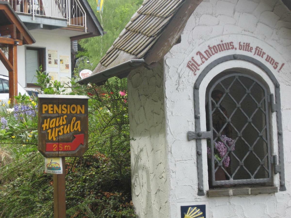 Pension Haus Ursula Κόμπλεντς Εξωτερικό φωτογραφία