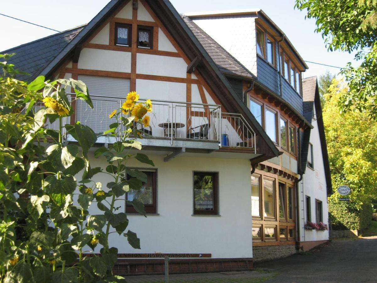 Pension Haus Ursula Κόμπλεντς Εξωτερικό φωτογραφία